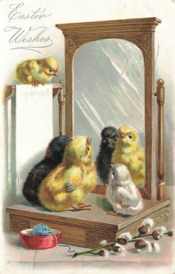c1910 Raphael Tuck Chicks Looking In Mirror Humanized Cute Willow Easter P310