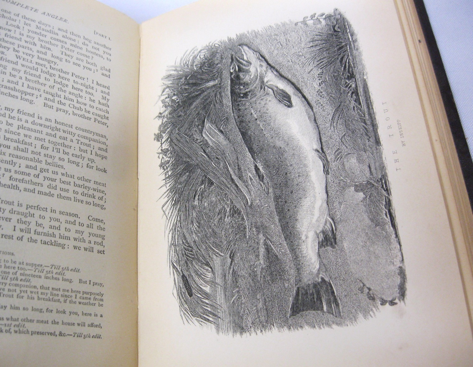 The Complete Angler by Izaak Walton & Charles Cotton 1887 Chatto & Windus Illust