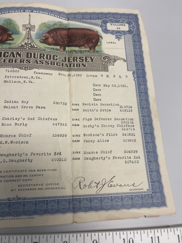 1930 American Duroc-Jersey Swine Breeders Association Old Vtg Pig Breeding Cert. - Picture 10 of 13