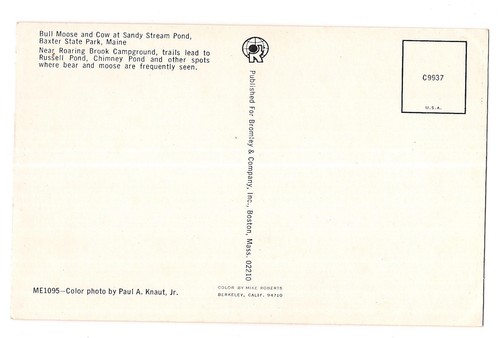 MOOSE Sandy Stream Pond, Baxter State Park Mountains Water MAINE ME Postcard - 第 2/2 張圖片