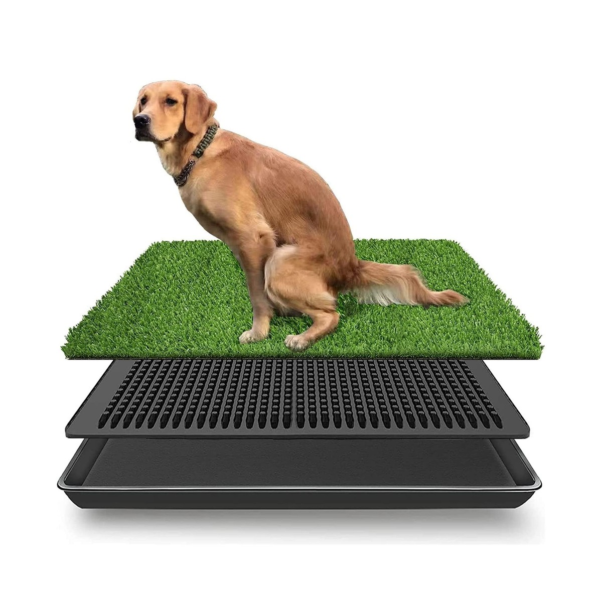 Tampon Dog Ate Puppy Pad My Dog Ate A Maxi Pad Sales