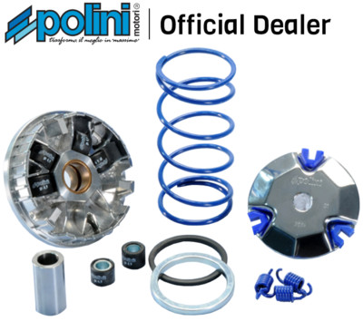 241.670 Variator Hi-Speed POLINI Minarelli Hori Yamaha Axis 50 - Breeze 50