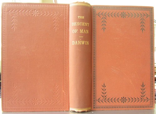 Charles Darwin The Descent of Man &Selection in Relation to Sex VG 1886 Appleton - Picture 1 of 6
