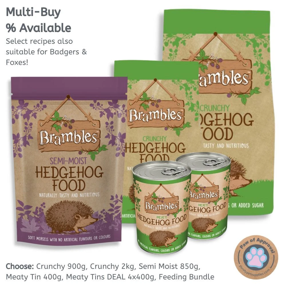 Wet cat hot sale food for hedgehogs