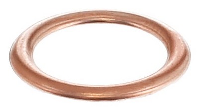 Engine Oil Drain Plug Gasket ELRING 813.036