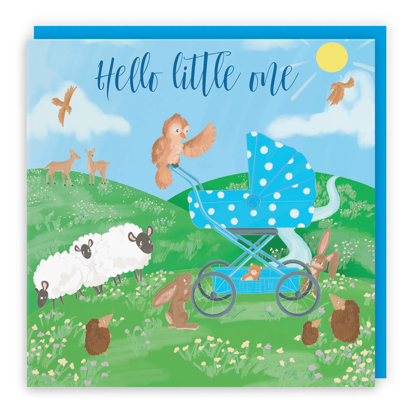 Hello Little One New Baby Boy Card Countryside