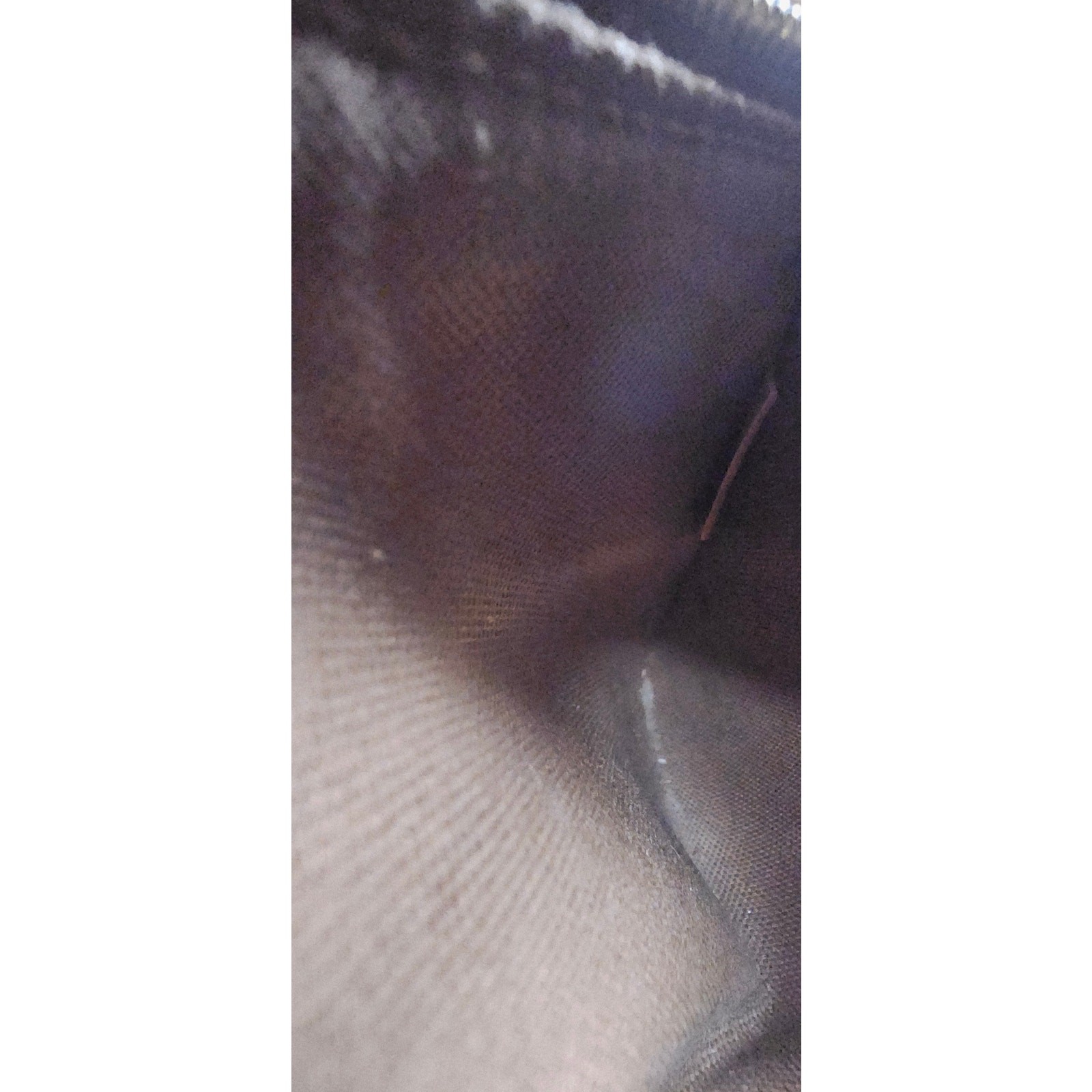 LV Monogram Looping Mini - image 14