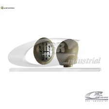 SCHALTHEBELKNAUF 25616 FÜR RENAULT SCENIC/III DUSTER/SUV FLUENCE MEGANE 1.4L