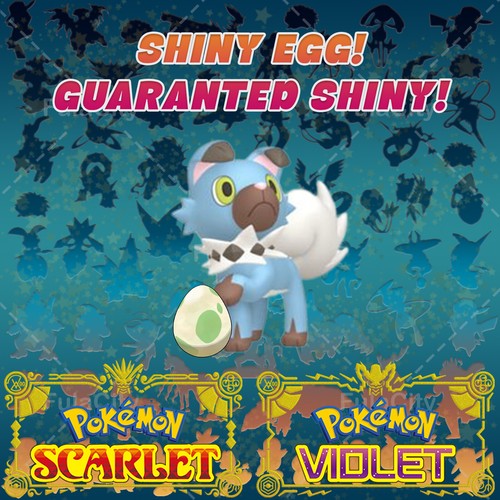 ROCKRUFF POKEMON SCARLET VIOLET ✨ SHINY EGG 6 IV ✨ CUSTOM AVAILABLE ✨