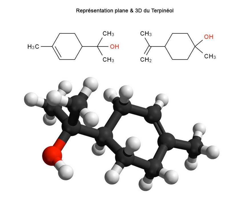 Terpinéol désinfectant pour parfumerie et pharmacie liquide pur en flacon de 125 ml