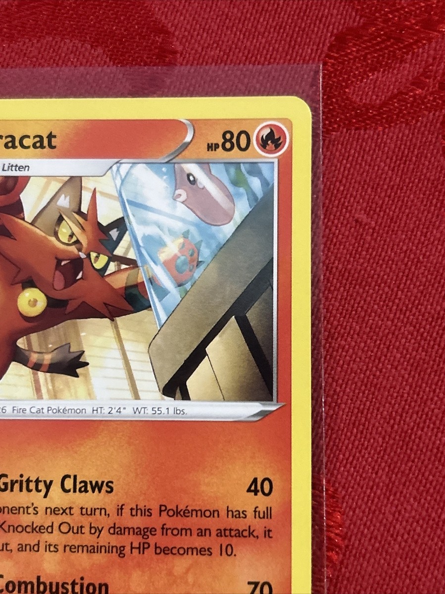 Pokmon TCG Torracat Silver Tempest 031/195 Regular Pokmon TCG Torracat Silver Tempest 031/195 Regular