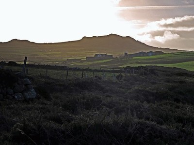 Foto 6x4 Uralte Landschaft: Weiden auf Pen-caer Trefasser Jenseits ist Llan c2016
