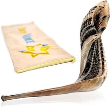 Holy Voice Kosher Ram Shofar Horn from Israel   16"-18" Musical Horn with Shofar