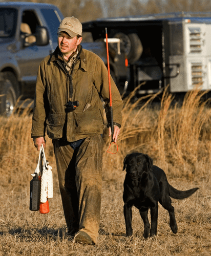 Avery Sporting Dog Greenhead Gear Trainer's Heeling Stick Blaze Orange Bumper - Picture 5 of 14