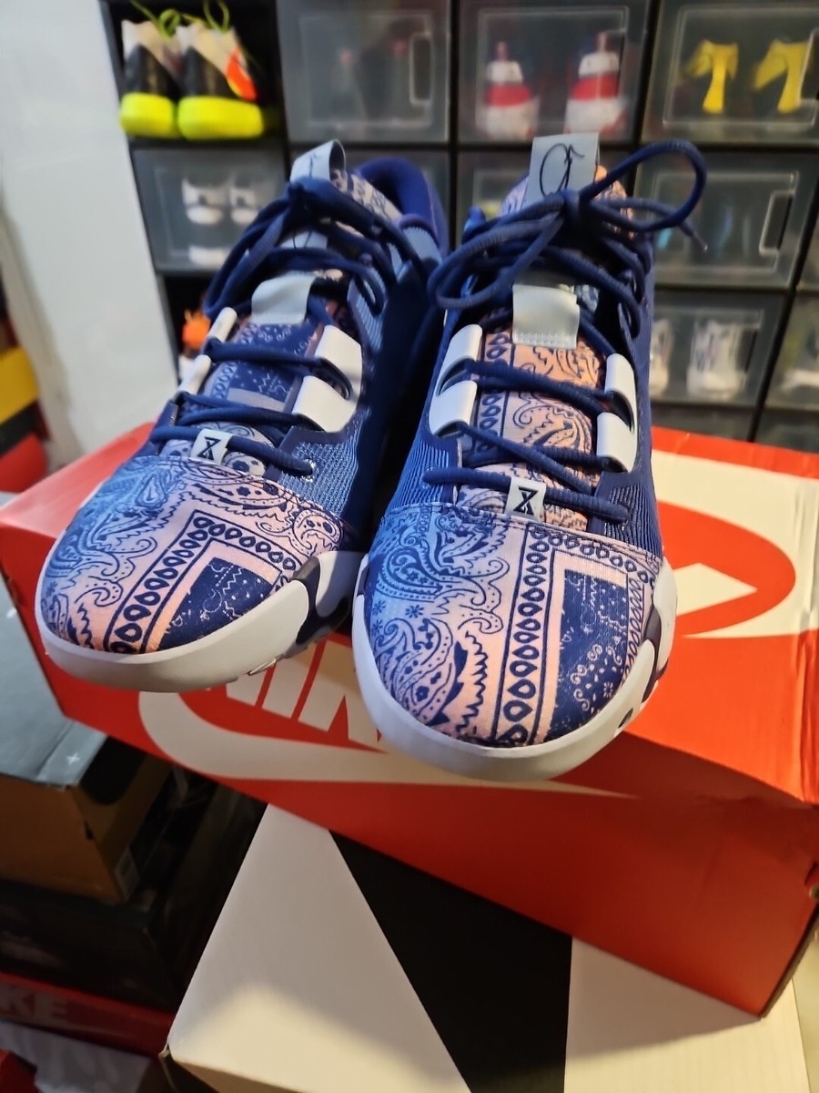 NIKE PG6 29cm ブルーペイズリー Nike PG 6 'Blue Paisley