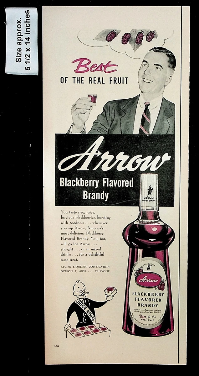 5 Easy Blackberry Brandy Drinks for the Best Homemade Cocktails