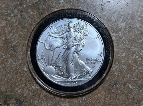2023  Silver American Eagle  Brilliant Uncirculated in Capsule!