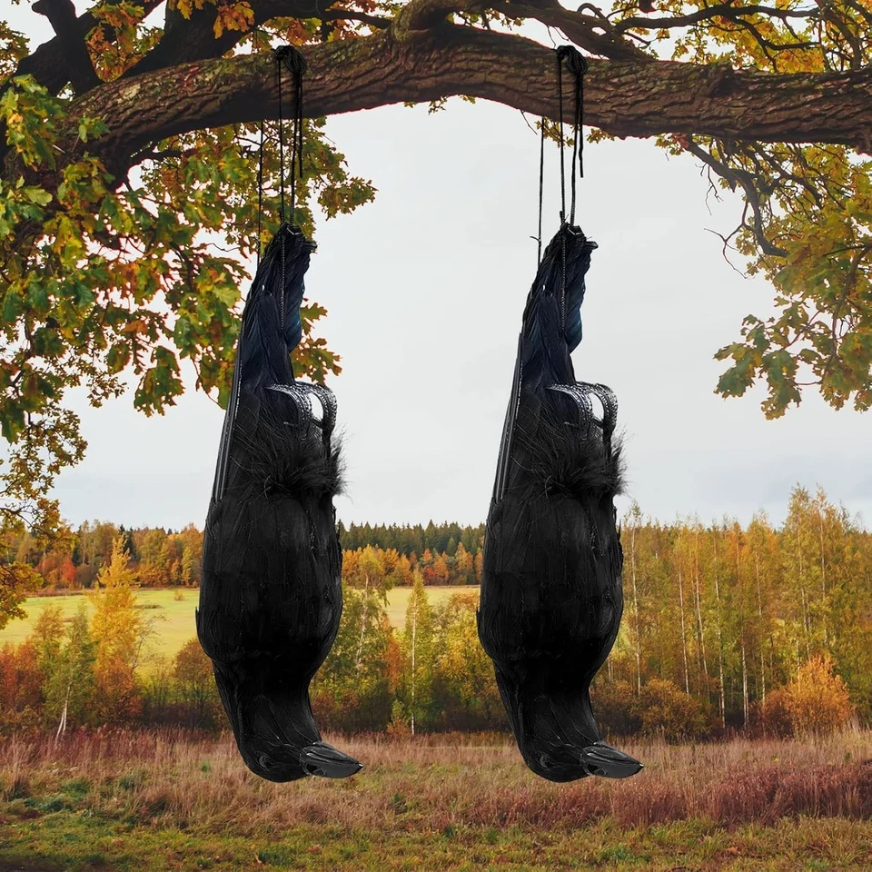 Lifelike Hanging Crows Set - Enhance Your Halloween Decor with 2 Realistic Props - Image 3 of 4