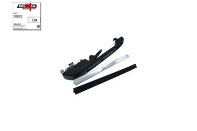 AUTOMEGA (100009810) Türgriff für VW