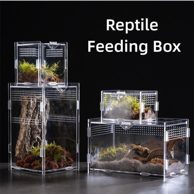 Acryl Reptilien lebensraum Anti-Escape Kleiner Haustier kehlen  Für Scorpion