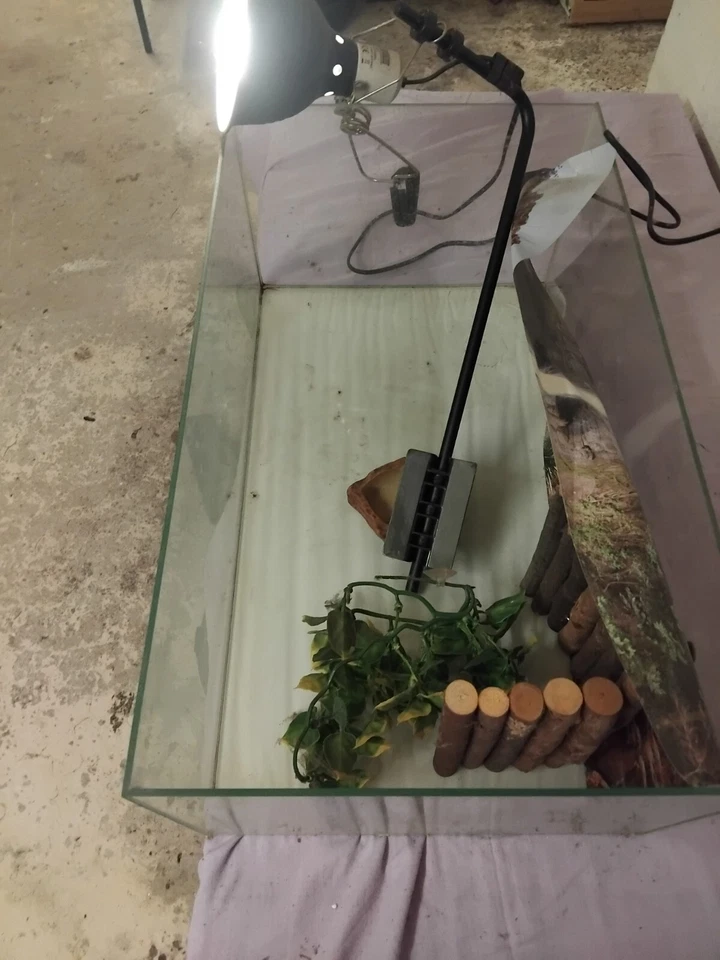 terrarium tortue - Photo 2/3