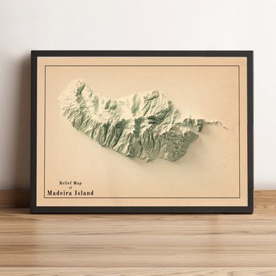 Madeira Island (Portugal) Map, Madeira Isla2D Relief Map - 2D Flat