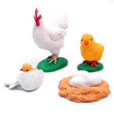 Chick Life Cycle, hochsimulierender Tierlebenszyklus 4teiliges Tierlernmodell...