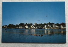 One Of The Sources Of The Sardine Industry In Maine Postcard (L1)