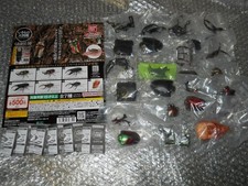 Living Things Encyclopedia Stag Beetle 10 All 7 Types Base (Japanese Rhinocero