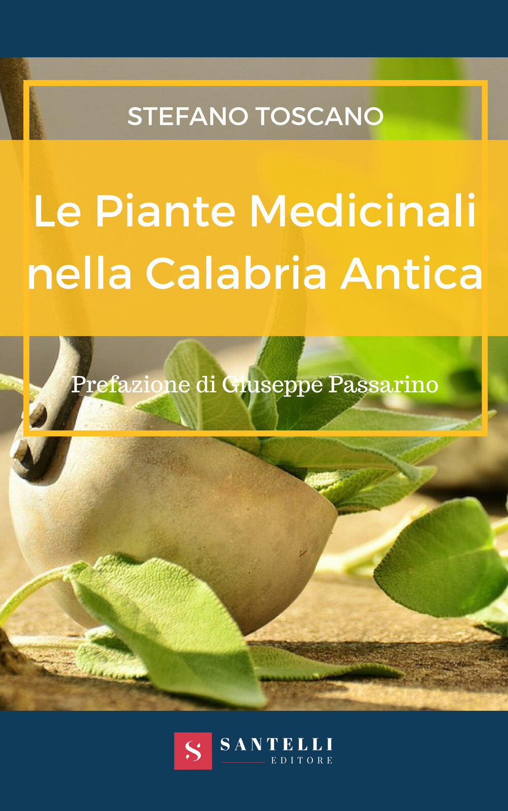 Libri Stefano Toscano - Le Piante Medicinali Nella Calabria Antica