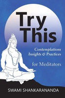 Swami Shankarananda | Try This | Taschenbuch | Englisch (2025) | Shaktipat Press