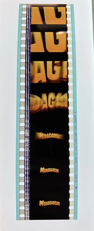 Madagascar Title Scene Authentic 35mm Film Strip with Timestamp! Unique Title