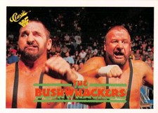 1990 Classic WWF 