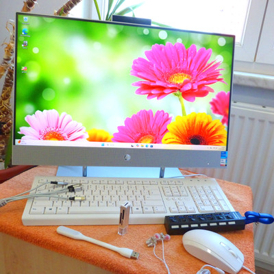 XL SET ALL IN ONE PC HP DP 24 Zoll FULLHD 11Gen Core i7 I 1TB SSD Windows 11 AIO