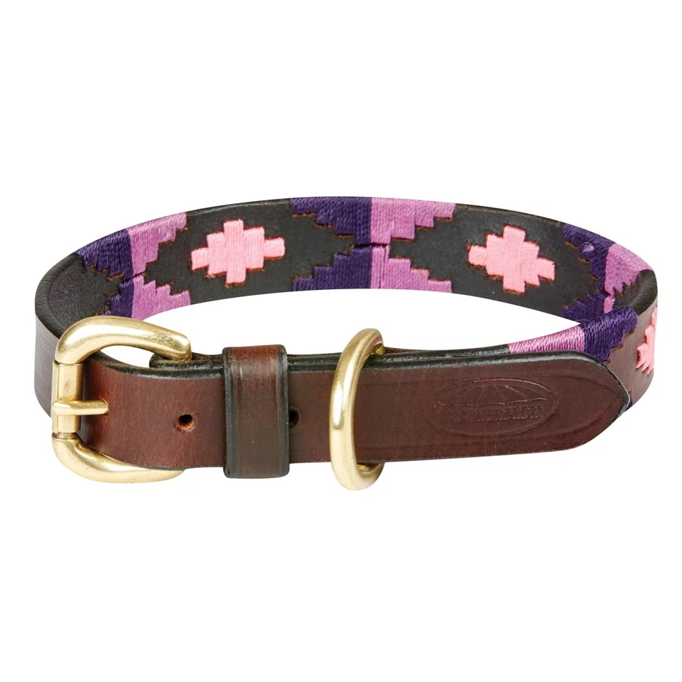 WeatherBeeta Polo Leather Dog Collar - Cowdray Brown/Purple/Purple