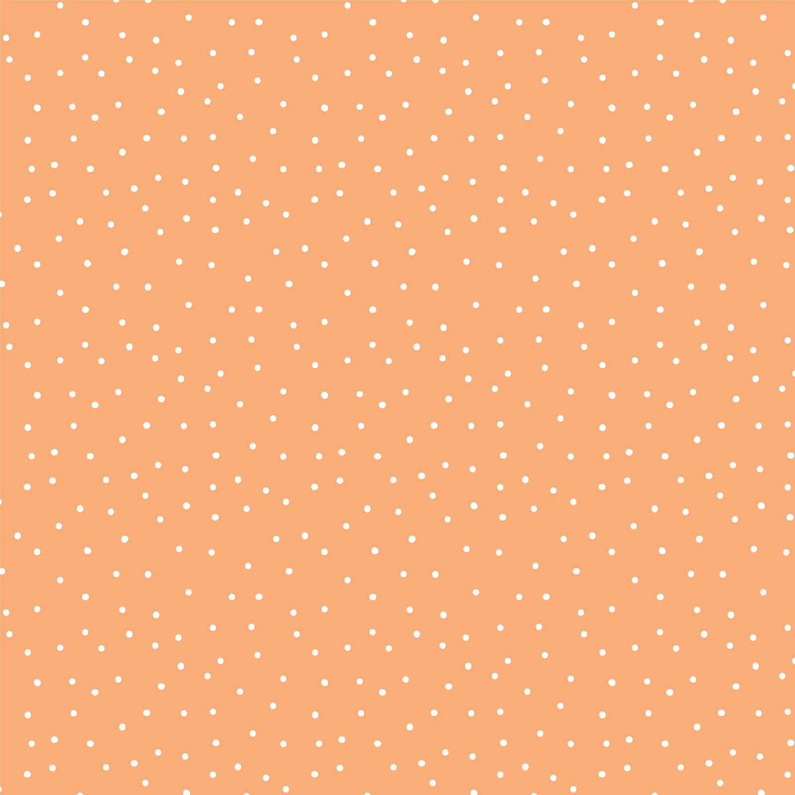 Baby Boy  Echo Park Collection Kit