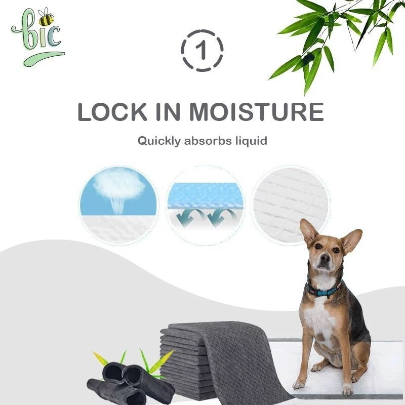 BIC ABSORBENT Pet Training Pads Disposable Pee Pad Diaper (S/M/L/XL) - Image 2 of 2