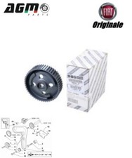 Poulies diverses Fiat DUCATO