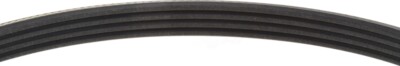 Serpentine Belt-Power Steering MITSUBOSHI 4PK815
