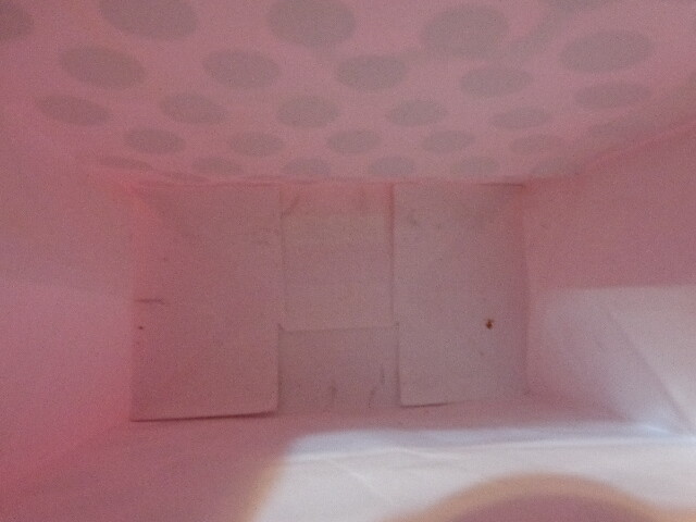 Picture 3 of 11
