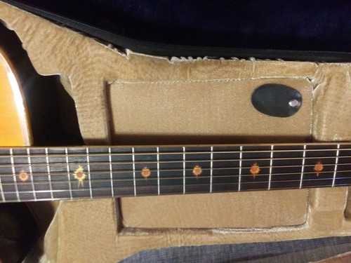 Nice Vintage Esteban " Coral Sun " Model Acoustic Electric Guitar With Case - Picture 5 of 8