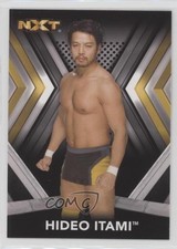 2017 Topps WWE NXT Roster Hideo Itami #14 d7j
