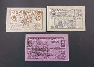3 versch. Geldscheine aus BIEDERMANNSDORF bei MÖDLING / ÖSTERREICH ca. 1920