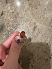 Blue Sapphire Neelam Vedic Jyotish Rings (2) Carnelian India 925 Astrology — photo 2