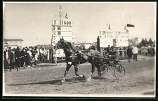 Fotografie Moskau, Hippodrom, Pferderennen Trabrennen mit Sulky 