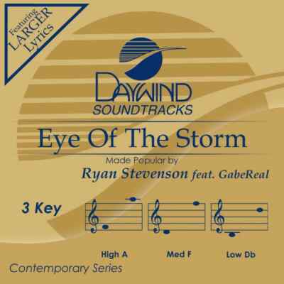 Eye Of The Storm Ryan Stevenson Accompaniment CD  Read Description  New CD
