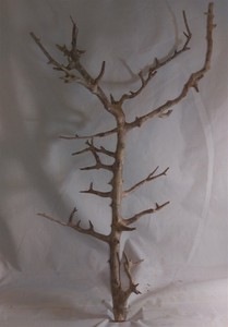 Nainital-Driftwood-Reptile-Aquarium-Aquascaping-Pandora-Decor-Wood-22-034-WYSIWYG