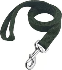 Strong Nylon Dog Leash, 4FT/ 5 FT/ 6FT Leashes for Medium 4FT, Green