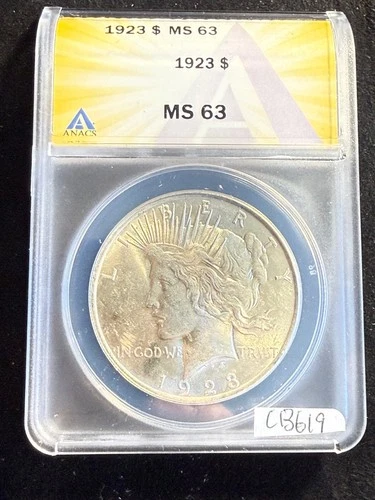 GORGEOUS Toning 1923 $1 Silver Peace Dollar MS 63 ANACS ESTATE US Coin cb619