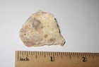 1.2" SMALL NATURAL ROUGH HONEY & CREAM AZEZTULITE STONE NEW ZEALAND ~ 11.8grams — photo 1